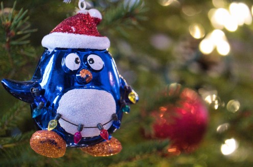 Choose the Perfect Christmas Tree and Ornament Set